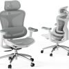 Store Anniversary Mega Sale, Amazing Price $ 99：SIHOO Doro C300 Ergonomic Office Chair with Ultra Soft 3D Armrests, Dynamic Lumbar Support for Home Office, Adjustable Backrest Desk Chair